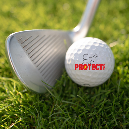 Golf Day 2023